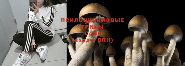 экстази Баксан