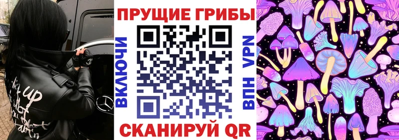 Псилоцибиновые грибы Magic Shrooms  купить наркотик  Борисоглебск 