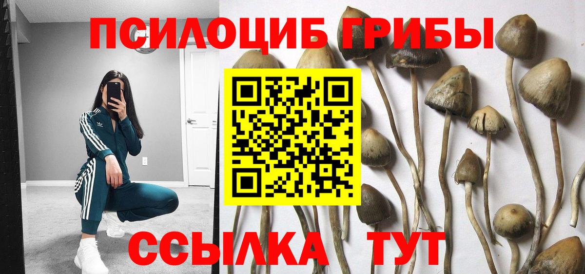 Борисоглебск  Галлюциногенные грибы прущие грибы  Псилоцибиновые грибы ЛСД  Вход с VPN 