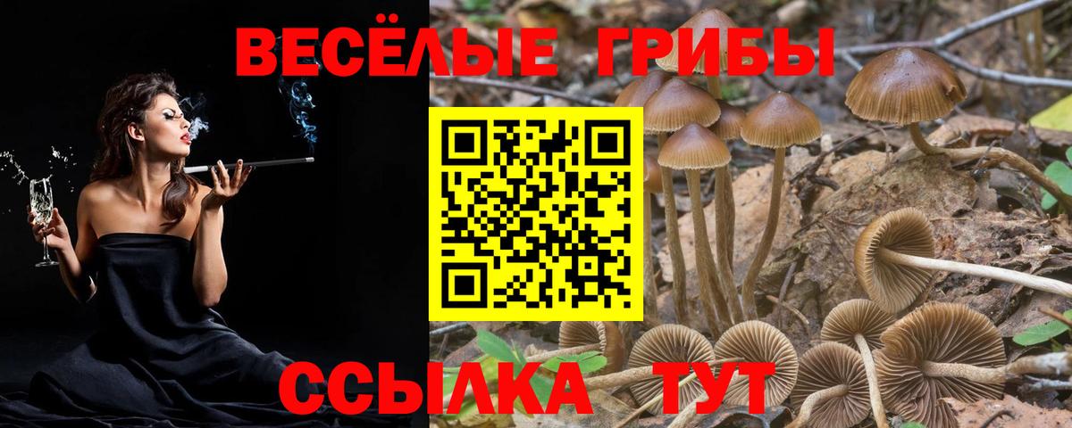Галлюциногенные грибы мицелий Борисоглебск