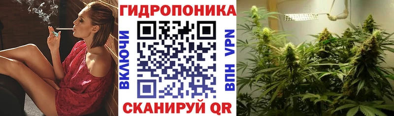 МАРИХУАНА ГИДРОПОН  Борисоглебск 